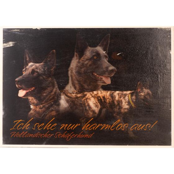 Herder (Ich seh nur harmlos aus)